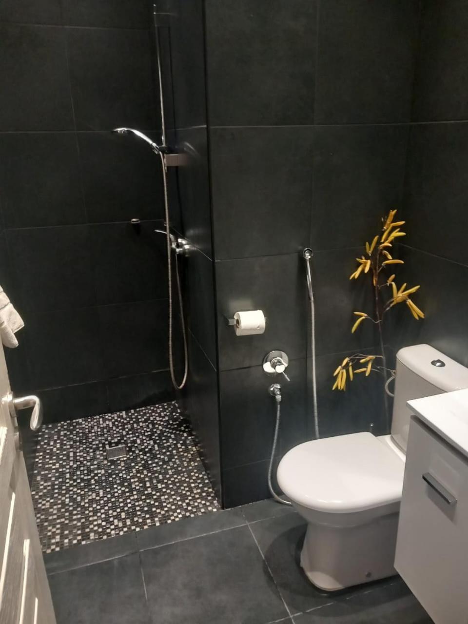 Studio "11"Near Monaco Босолей Екстер'єр фото